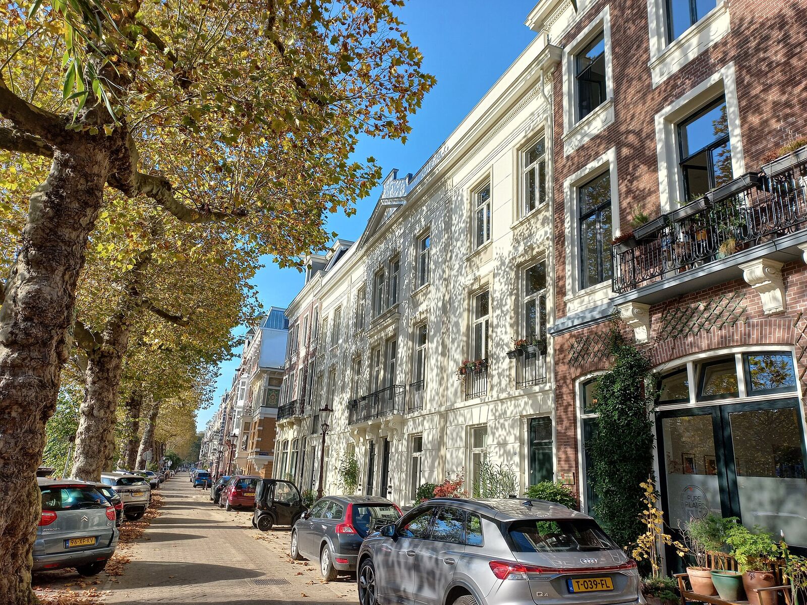 A row of 19th-century townhouses behind plane trees on Nicolaas Witsenkade in Amsterdam, with parked cars along the street