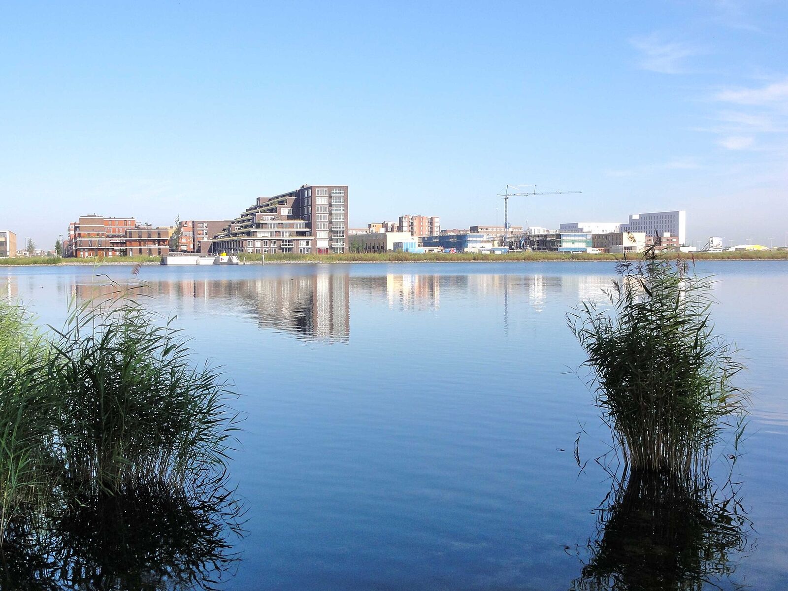 New apartment blocks on IJburg in Amsterdam seen across the water from Diemerpark, with a construction crane on the skyline